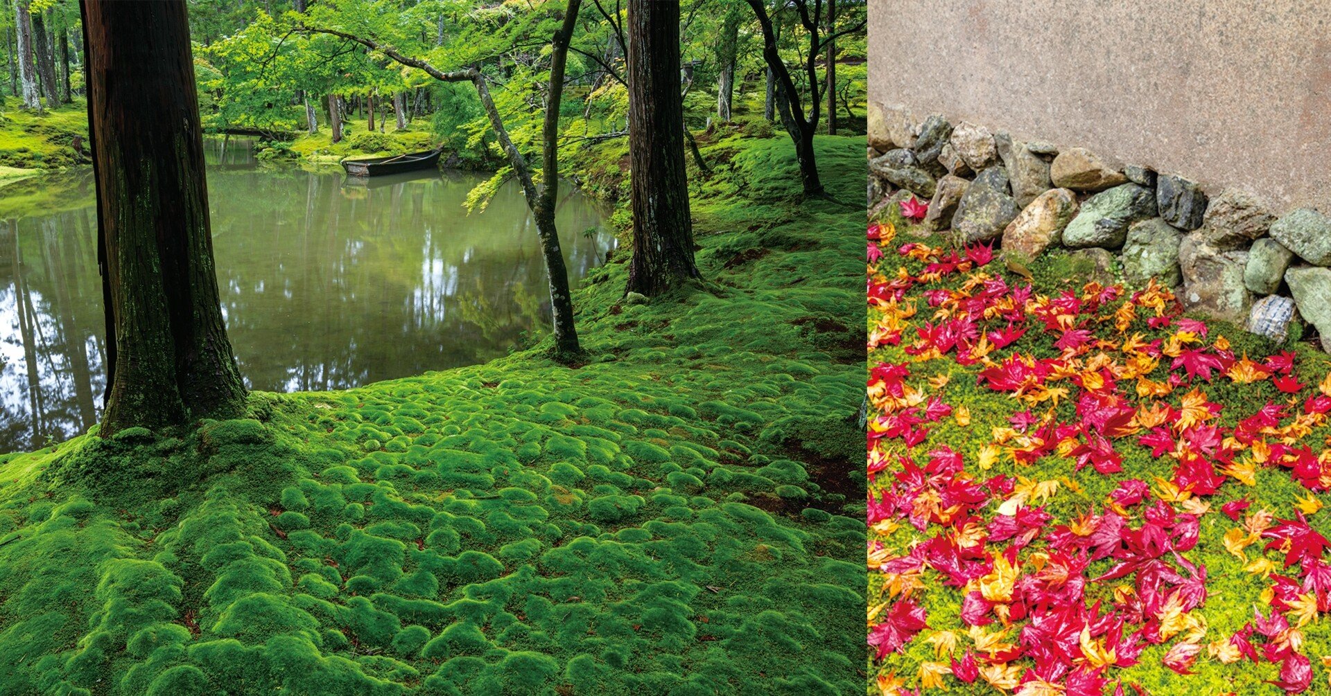 苔寺の最も美しい瞬間を切り取った写真集 西芳寺 新十境 ほんのひととき Note 苔寺の最も美しい瞬間を切り取った写真集 西芳寺 新十境 ほんのひととき Note