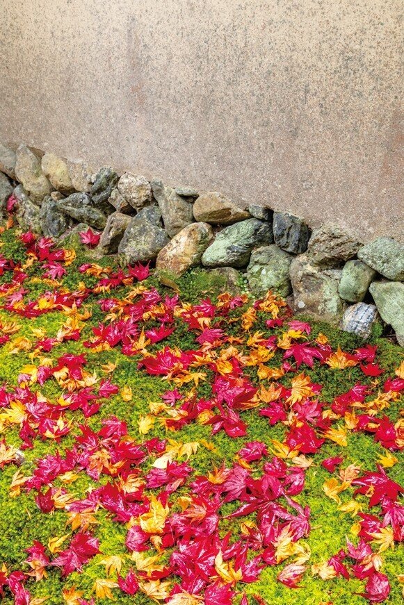 苔寺の最も美しい瞬間を切り取った写真集 西芳寺 新十境 ほんのひととき Note 苔寺の最も美しい瞬間を切り取った写真集 西芳寺 新十境 ほんのひととき Note