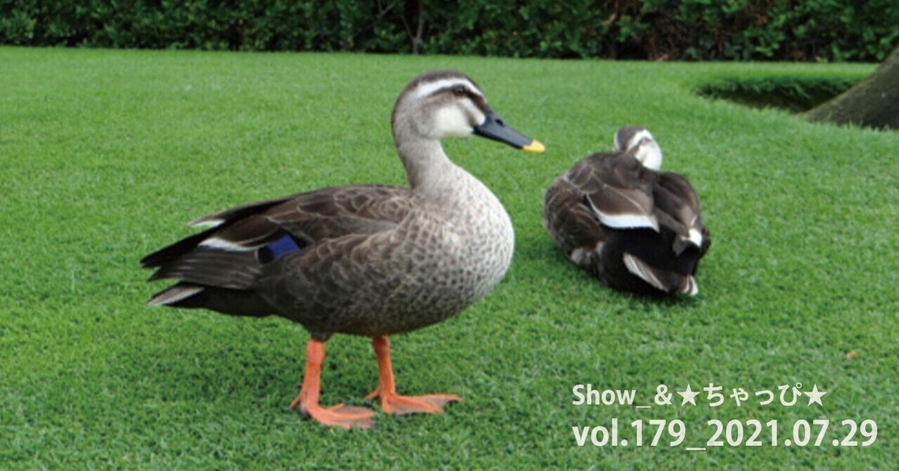 東京ディズニーリゾートの鳥 たち ちゃっぴ そう妻から呼ばれている男 の いろいろ気になってること 美味しいもの ダイエットもの 妙なもの などなど Note 東京ディズニーリゾートの鳥 たち ちゃっぴ そう妻から呼ばれている男 の いろいろ気になってること 美味しいもの ダイエットもの 妙なもの などなど Note