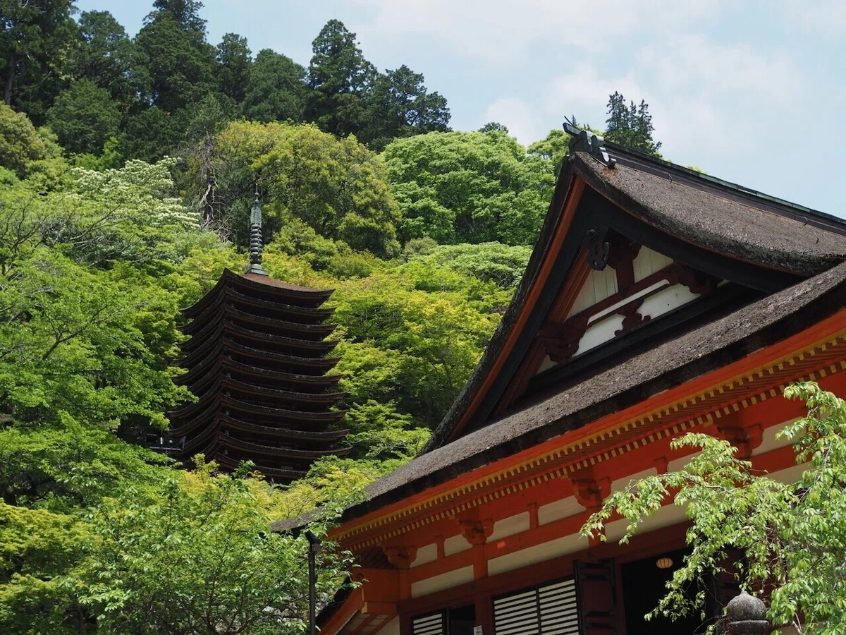 画像1