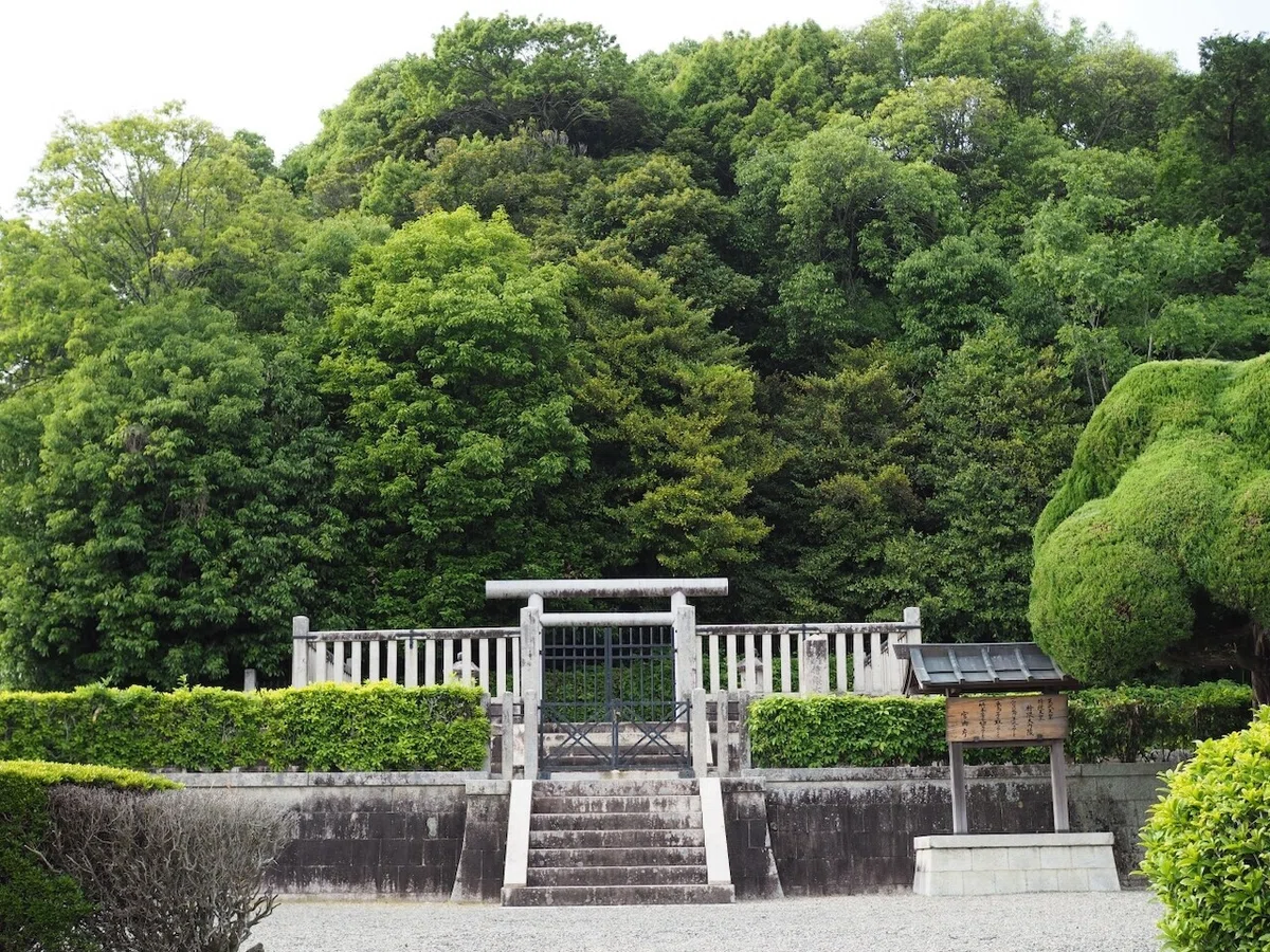画像16