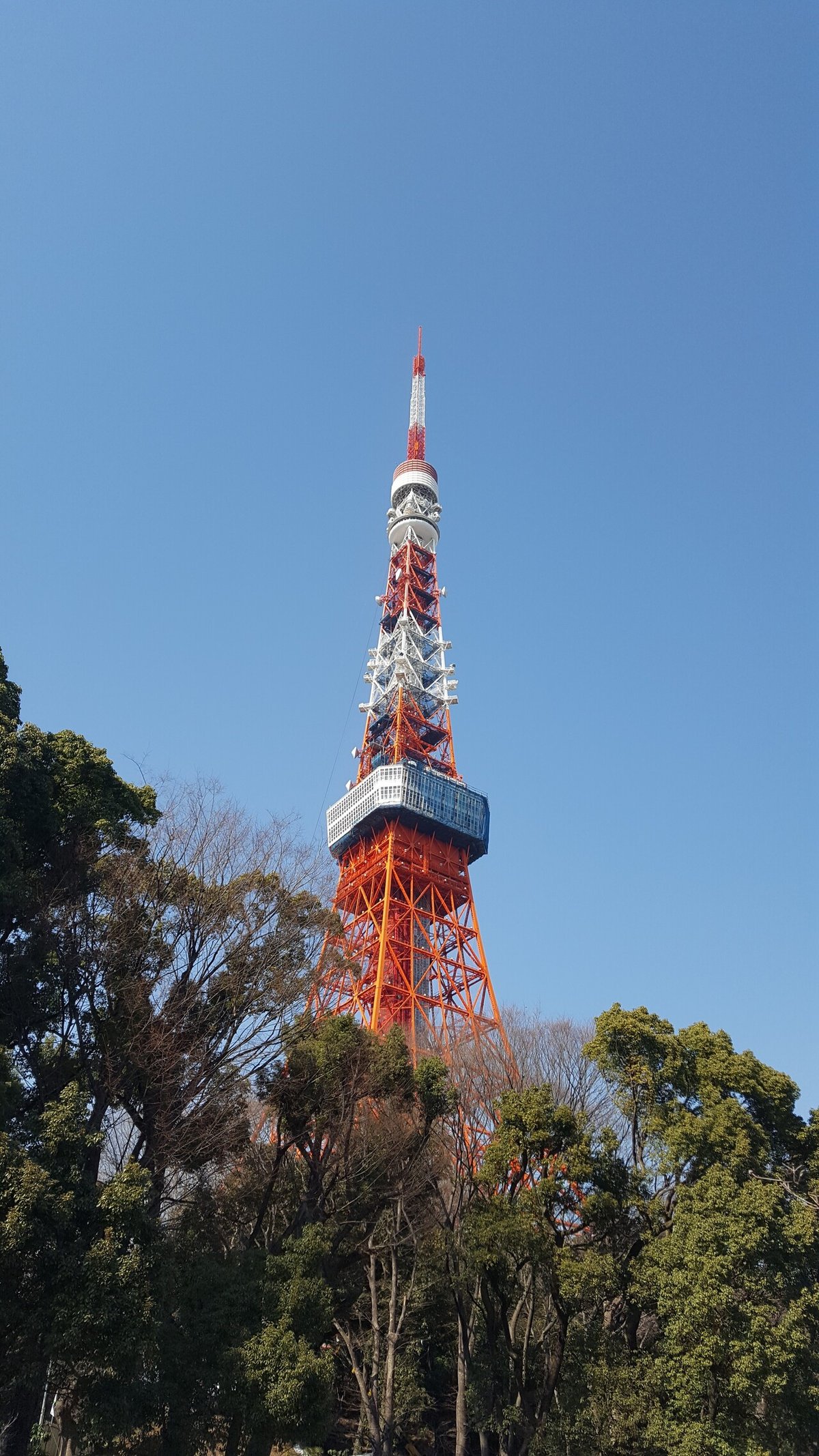 東京タワー(2018.02.15)