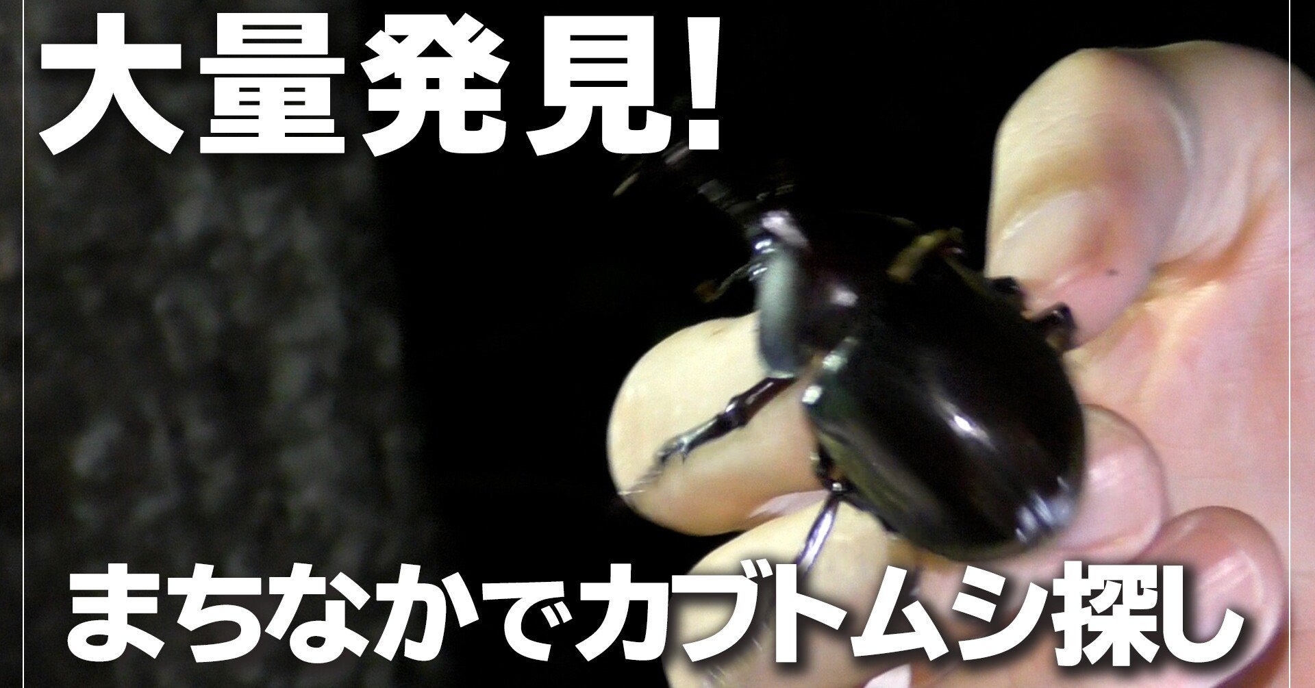 c103a92dd155e316586cf94386572d