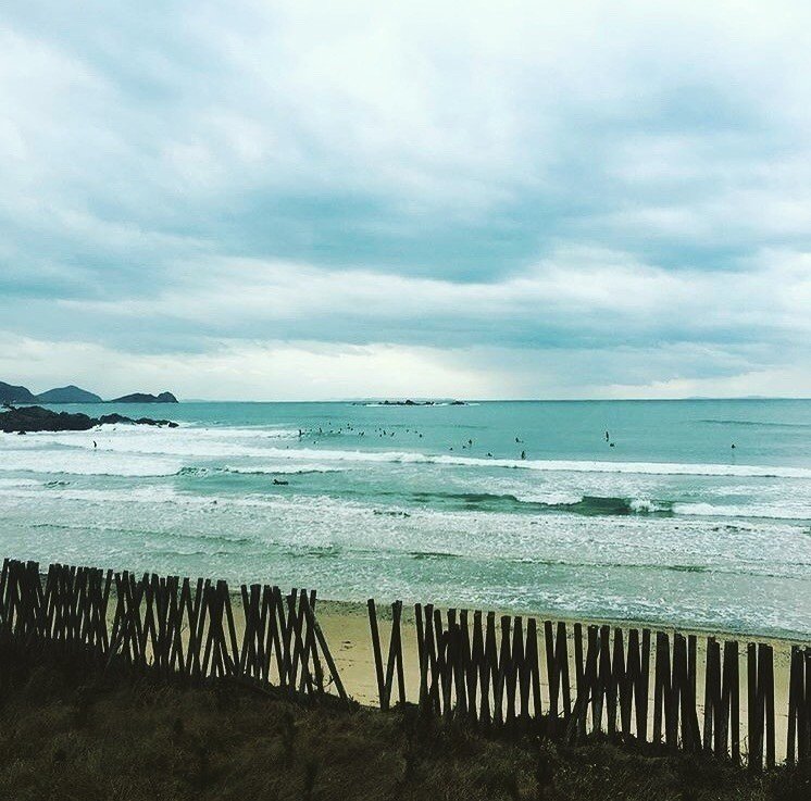 ピリリと冷たい風が
どことなく心地よい
冬の海
閑散とした雰囲気が
さらに気持ちのやわらかい
部分に突き刺さる
こういう場所には
ひとりでいたい。
#写真 #海 #糸島 #写真好きな人と繋がりたい