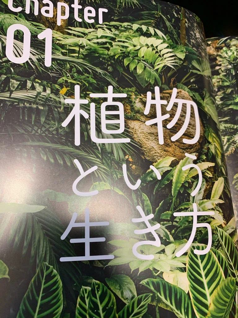 画像9