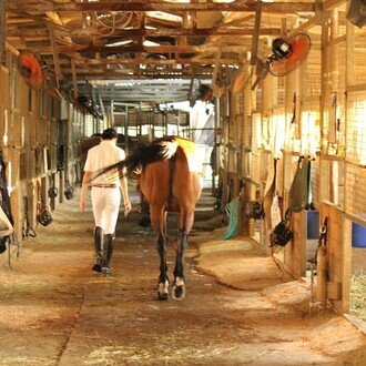 うまのこと Note うまのこと Note