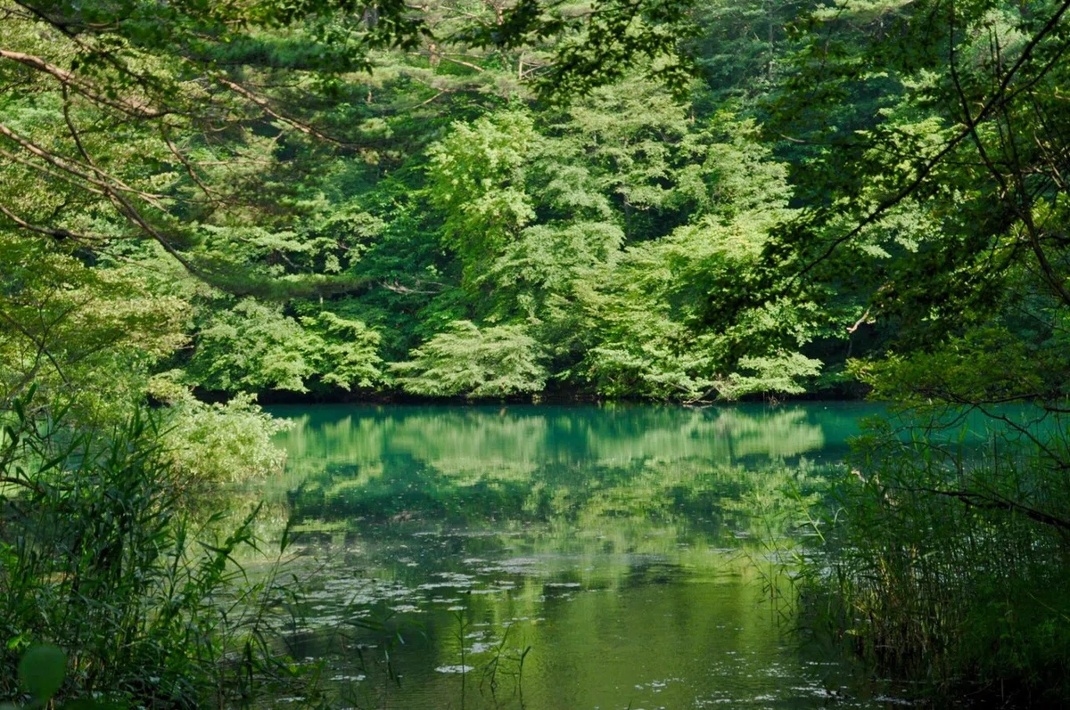 画像5
