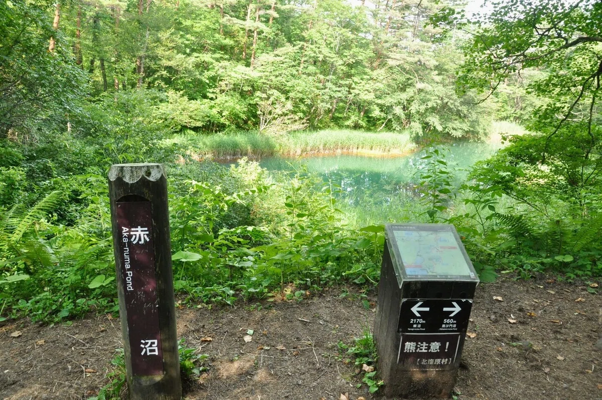 画像6