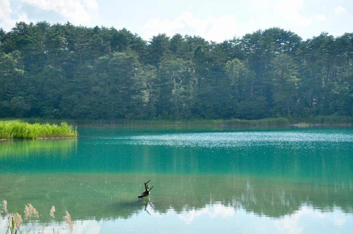 画像9