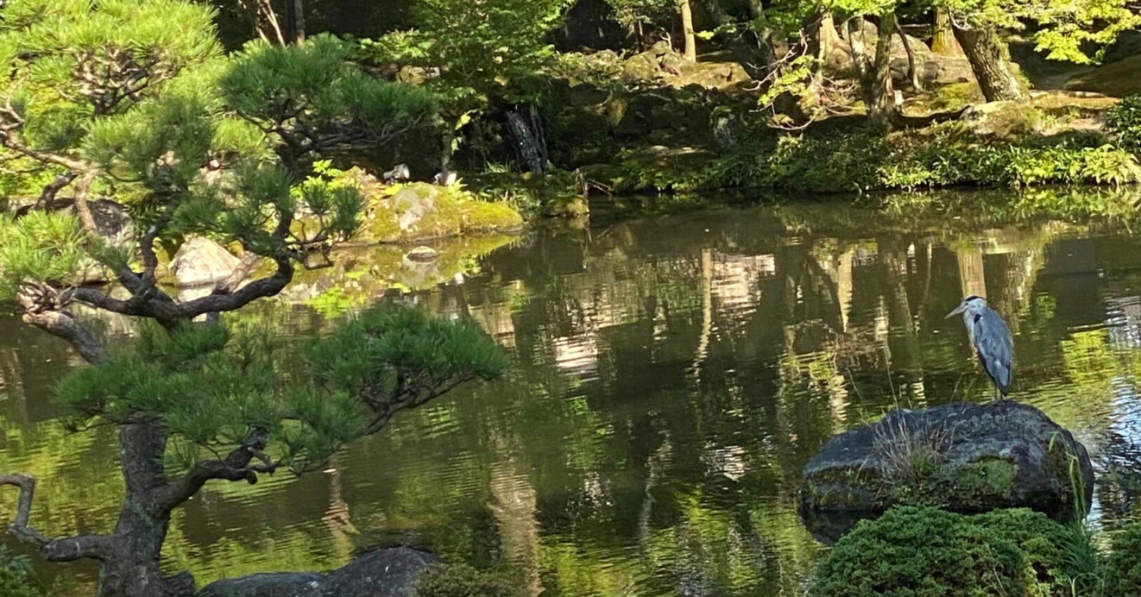 遠巷説百物語 感想 というかそこから巷説シリーズ今の所の全巻読んだ感想 Tomoa Note