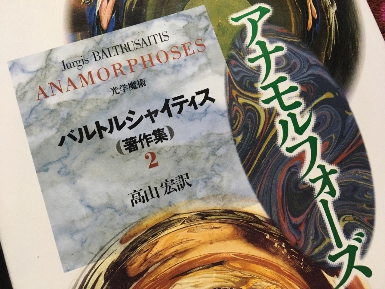 欺かれた視覚｜棚橋弘季 Hiroki Tanahashi