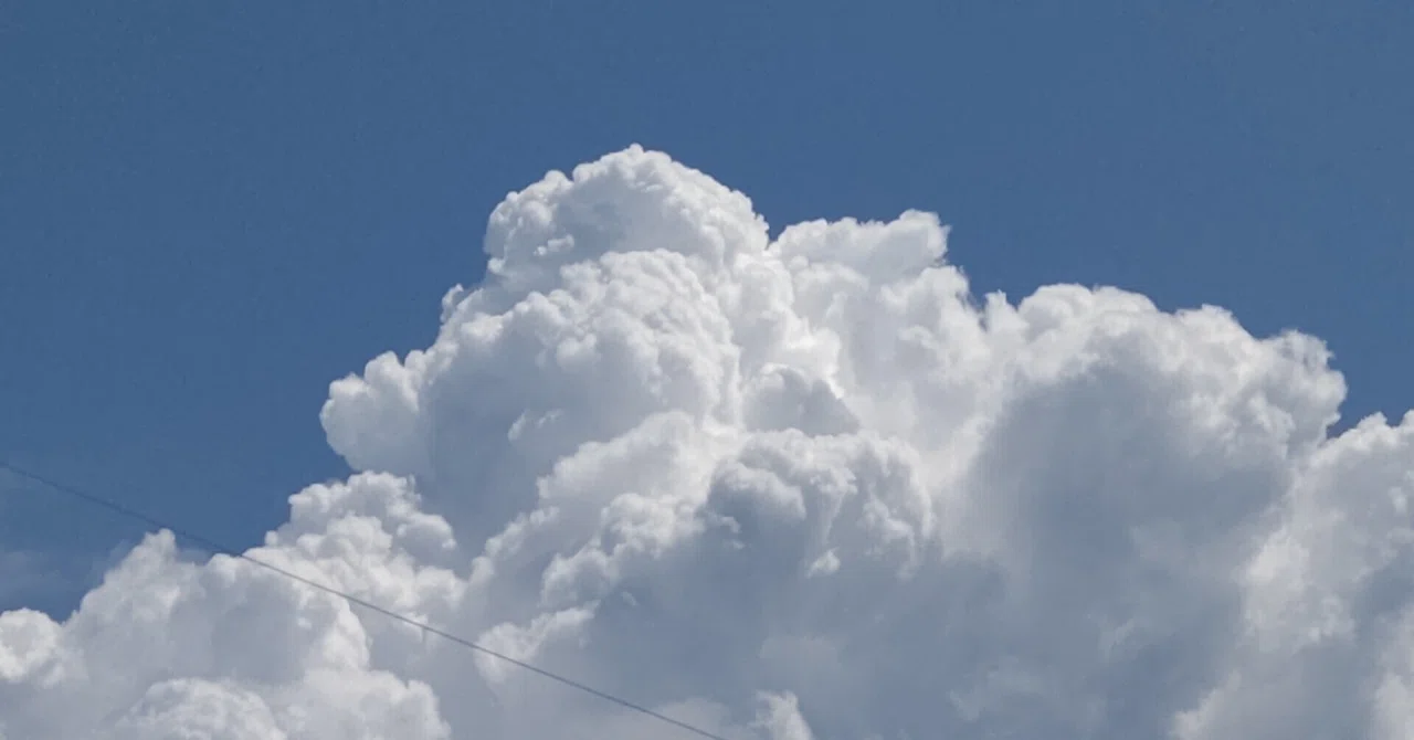 Random thoughts for myself｜ぱち