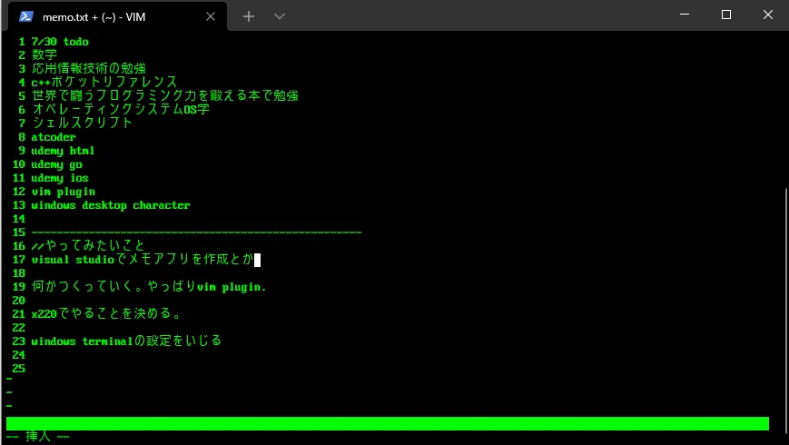 Windows Terminal 설정을 위한 메모｜かつお