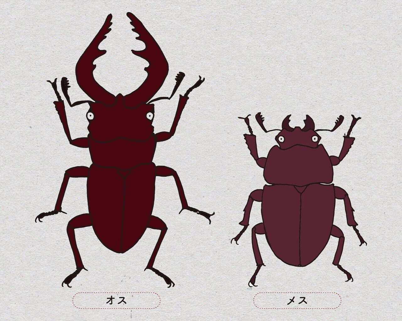 オンライン版 身近で気になる昆虫展 前編 身近で気になる昆虫ランキング Best 50 浜松科学館 みらいーら オンライン版 身近で気になる昆虫展 前編 身近で気になる昆虫ランキング Best 50 浜松科学館 みらいーら