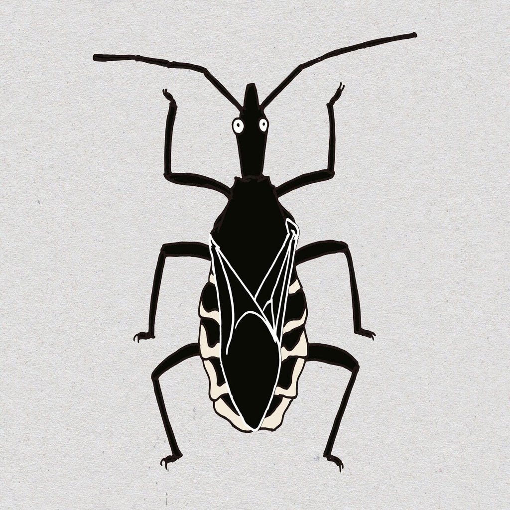 オンライン版 身近で気になる昆虫展 前編 身近で気になる昆虫ランキング Best 50 浜松科学館 みらいーら