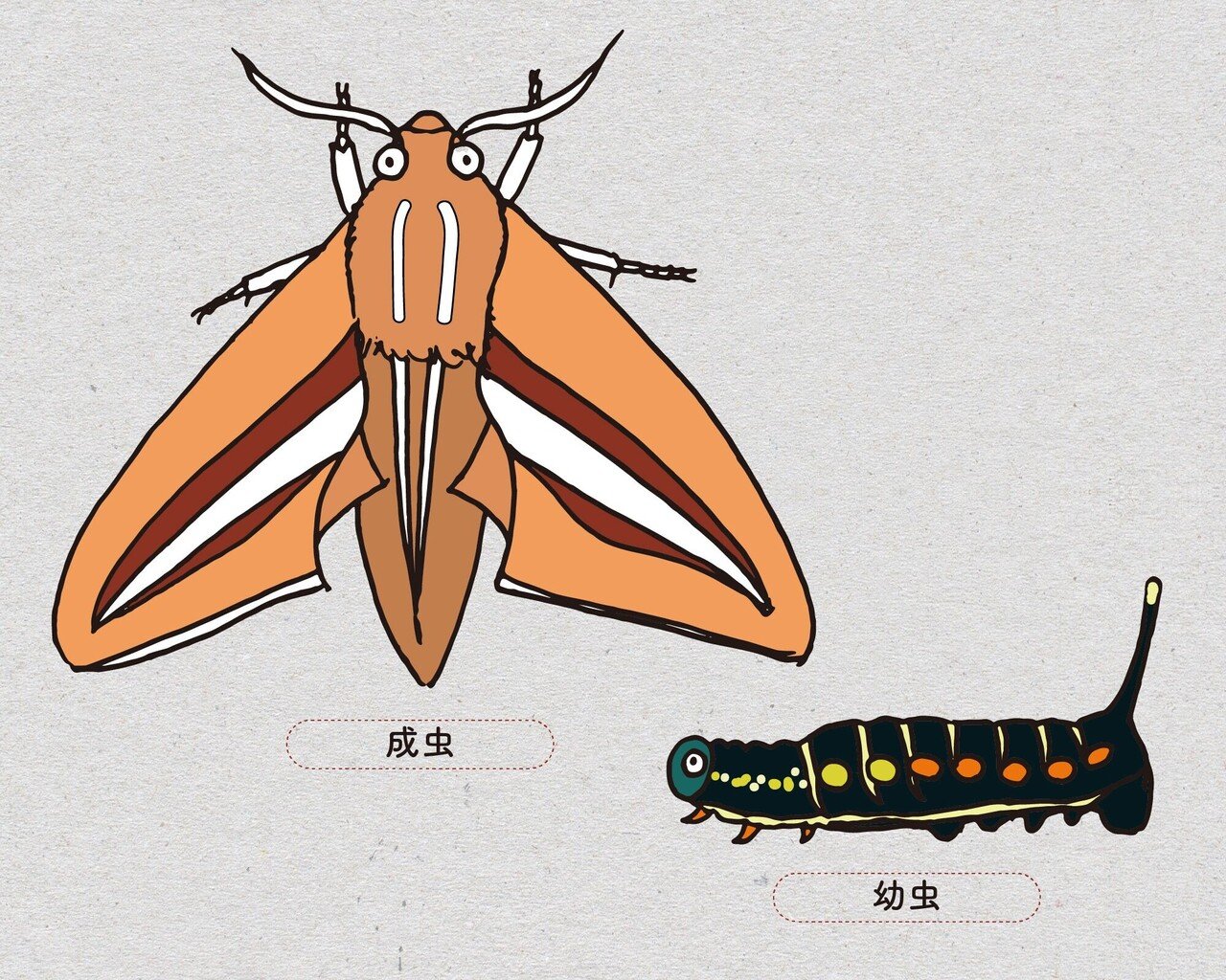 オンライン版 身近で気になる昆虫展 前編 身近で気になる昆虫ランキング Best 50 浜松科学館 みらいーら オンライン版 身近で気になる昆虫展 前編 身近で気になる昆虫ランキング Best 50 浜松科学館 みらいーら