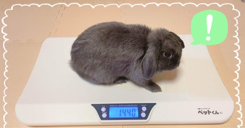 うさぎ用グッズレビュー ペットくん 体重計 げーらびーず Note