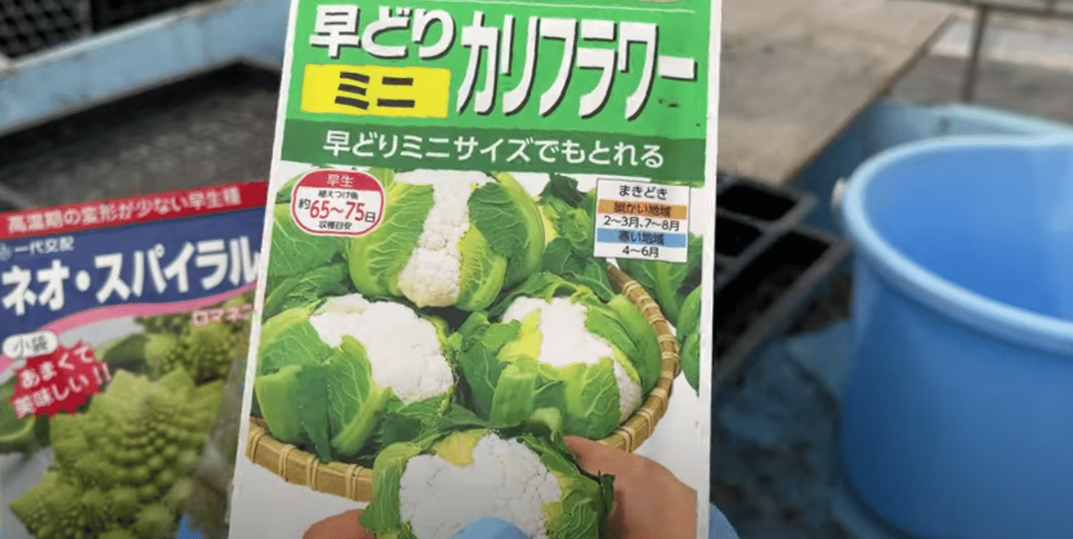 あなたの好みはどれ カリフラワー露地栽培 井上寅雄農園 井上隆太朗 Note あなたの好みはどれ カリフラワー露地栽培 井上寅雄農園 井上隆太朗 Note