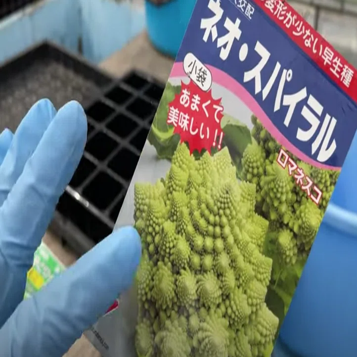 あなたの好みはどれ カリフラワー露地栽培 井上寅雄農園 井上隆太朗 Note