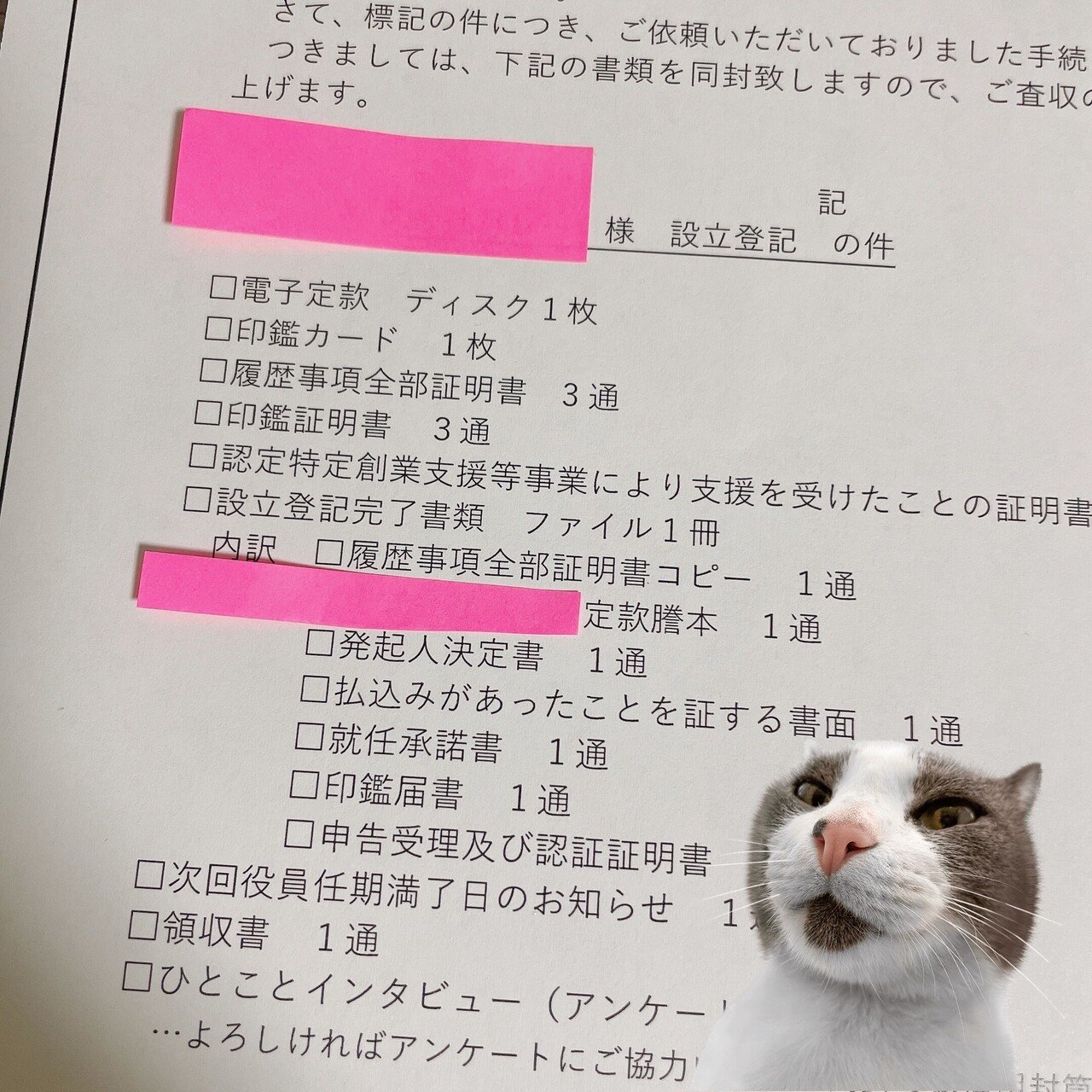 フリーランスから法人成り やること多すぎヤバすぎの巻 夏野かおる テック系フリーライター Note フリーランスから法人成り やること多すぎヤバすぎの巻 夏野かおる テック系フリーライター Note