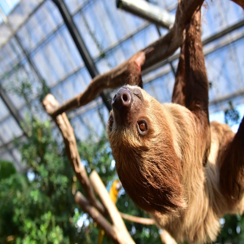 ナマケモノ通信 Vol 3 Max 神アニメ研究家 道楽舎 Note