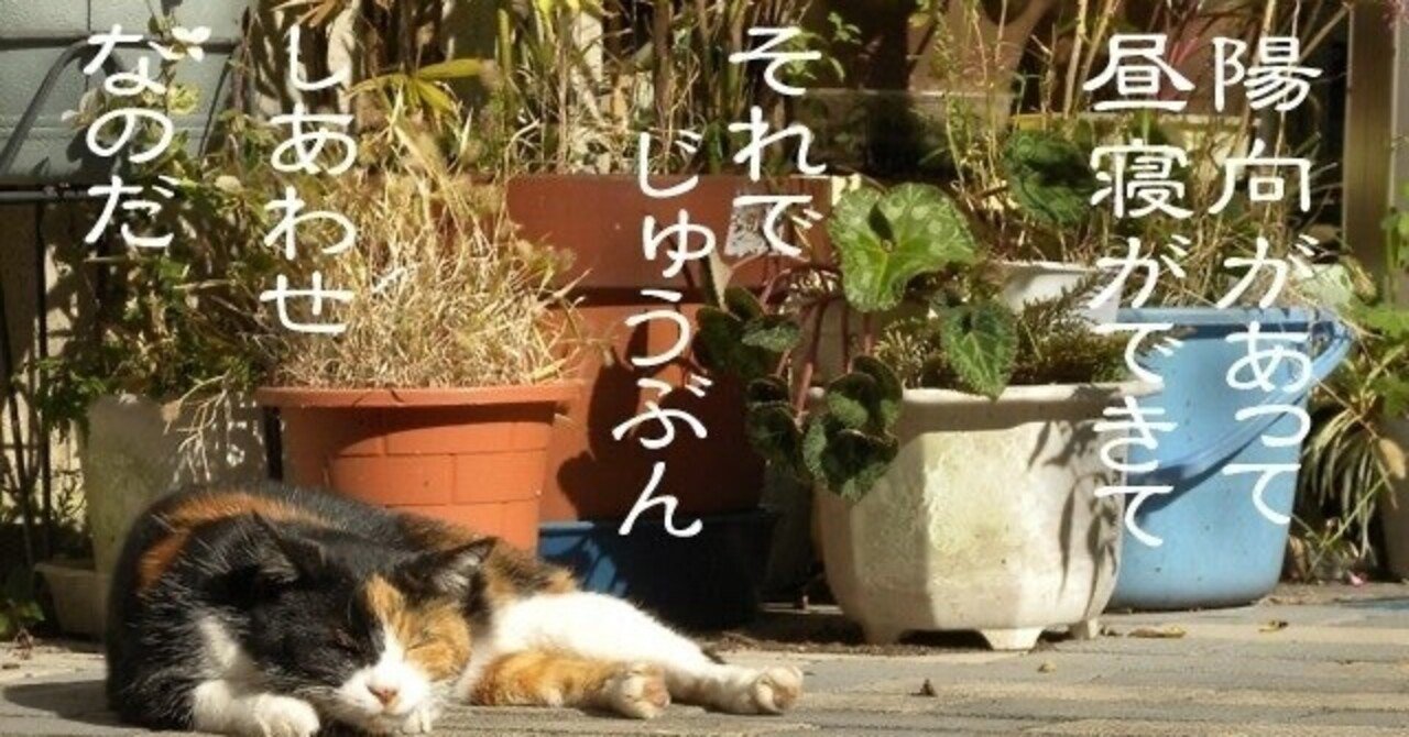 猫の病気」の新着タグ記事一覧｜note u2015u2015つくる、つながる、とどける。