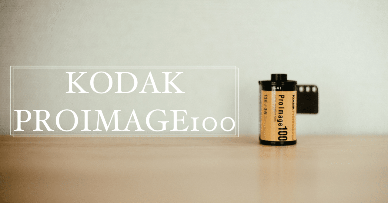 写真作例】KODAK PROIMAGE100で撮ってみた。｜中澤紘大 ||写真家