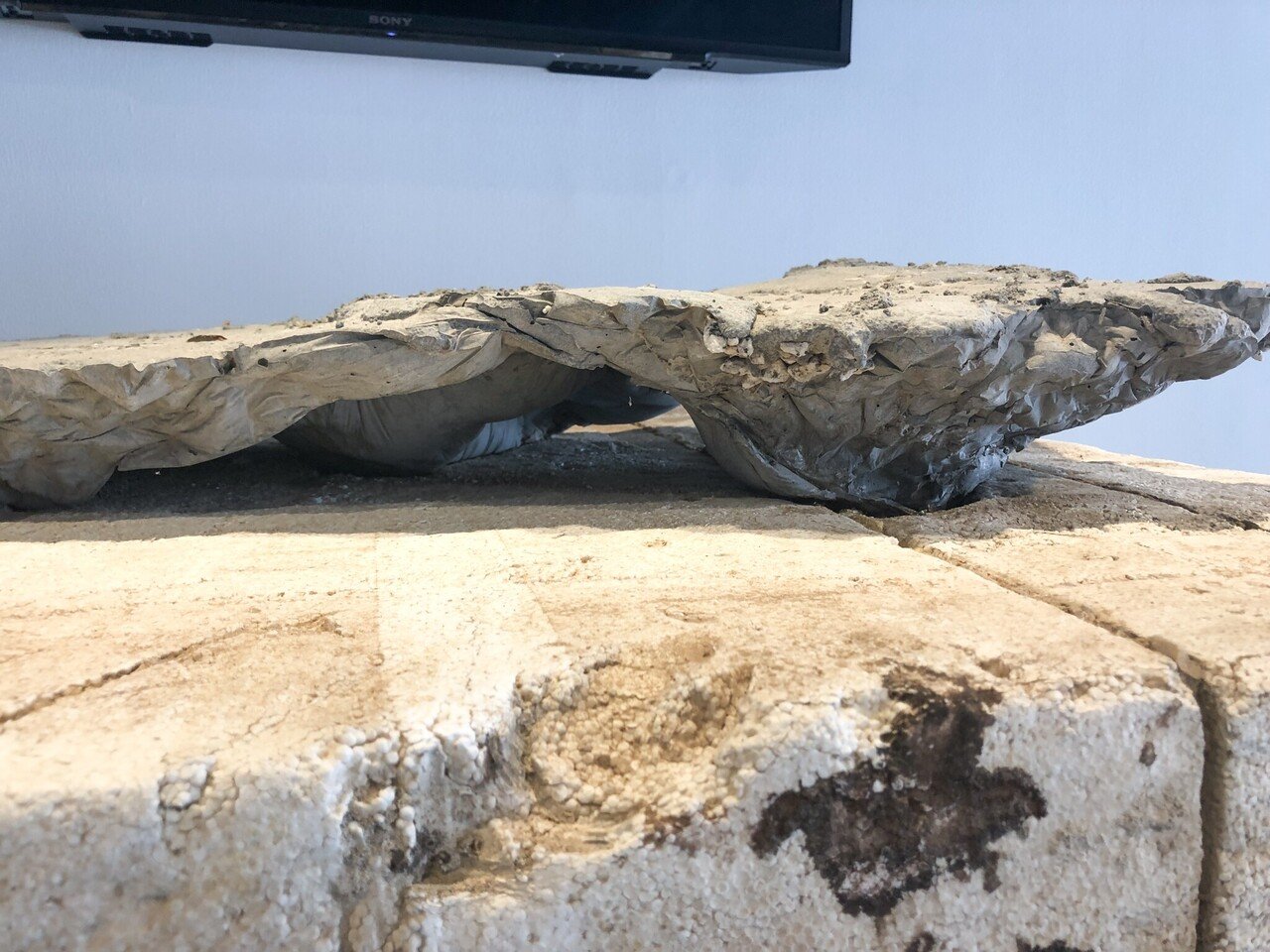 美しい映像と模型が楽しめる アンサンブル スタジオ展 徳 望 とくぼー イラストレーター Note