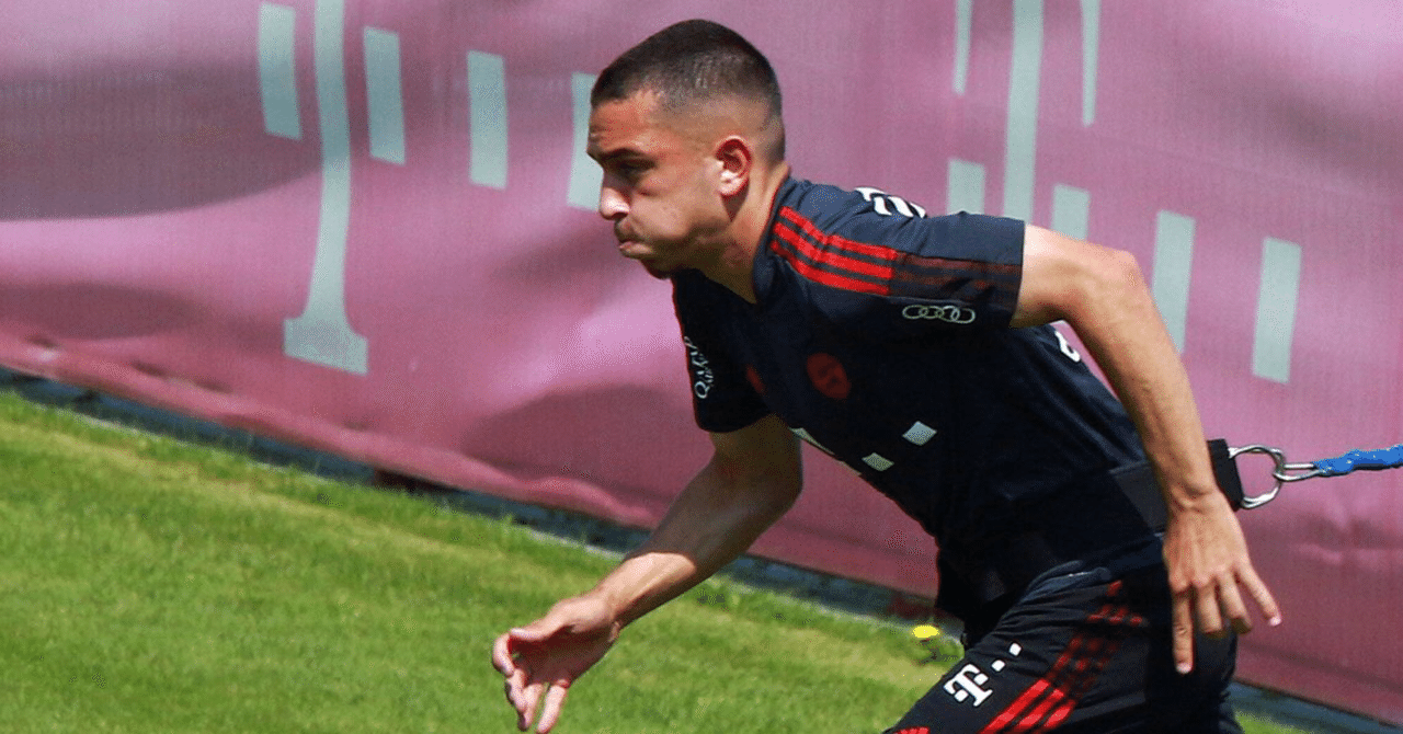 ばいやんの イブラ 将来を嘱望される アリヨン イブラヒモビッチ 15 の魅力に迫る アツシ Note ばいやんの イブラ 将来を嘱望される アリヨン イブラヒモビッチ 15 の魅力に迫る アツシ Note