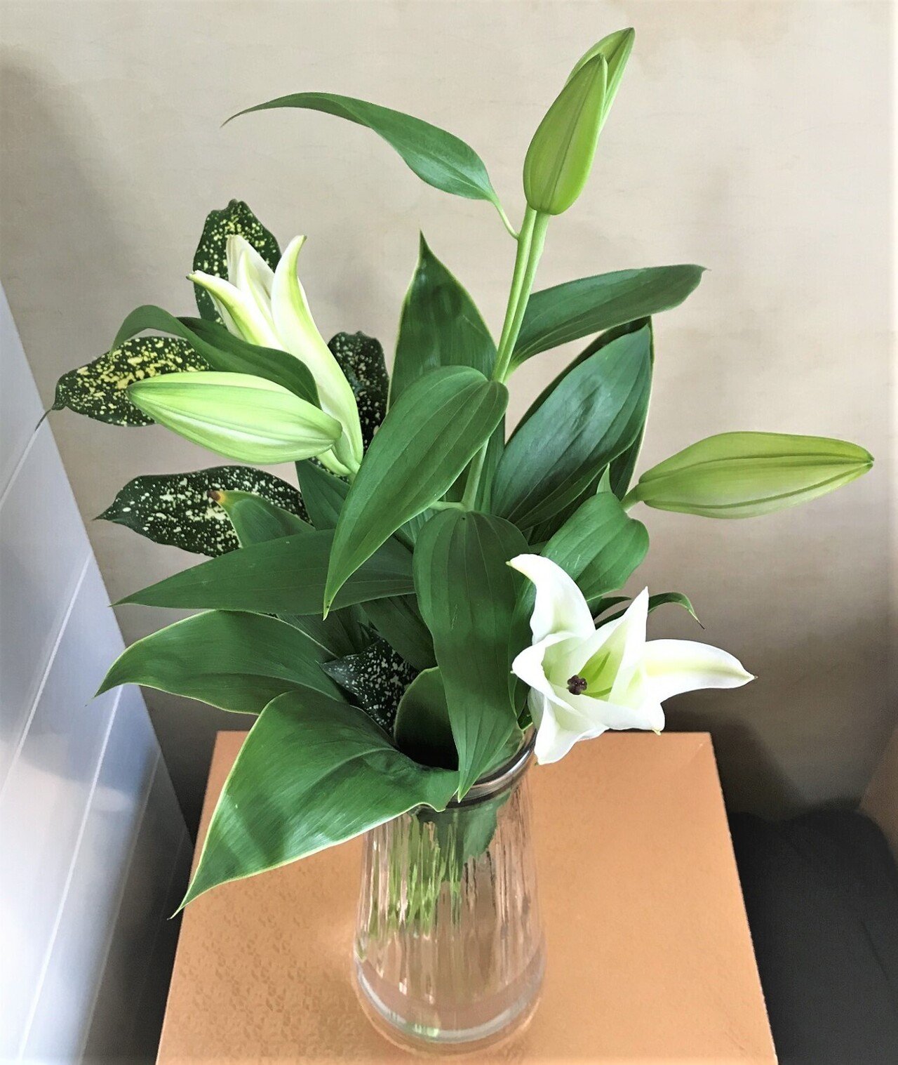 💐おうち活け花 ～ユリ編（初めてのオリエンタルリリー）｜悠冴紀