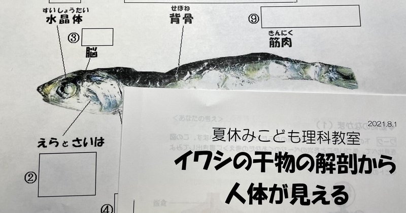 無脊椎動物 の新着タグ記事一覧 Note つくる つながる とどける 無脊椎動物 の新着タグ記事一覧 Note つくる つながる とどける