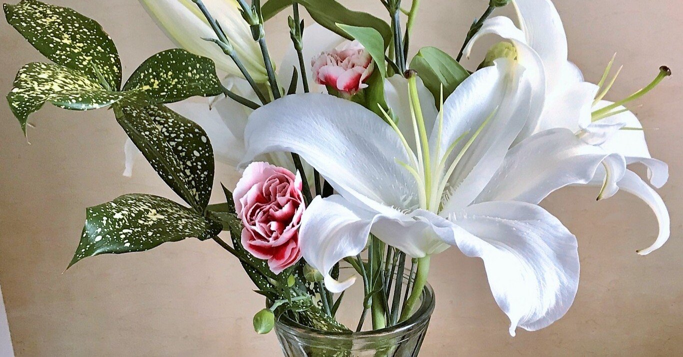 💐おうち活け花 ～ユリ編（初めてのオリエンタルリリー）｜悠冴紀