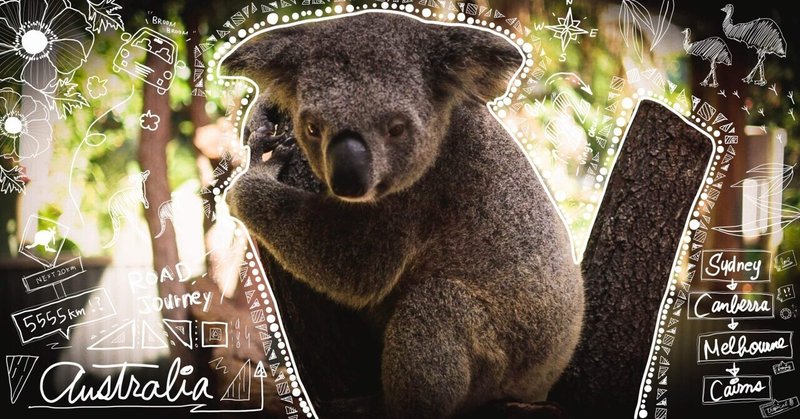 僕についてきてくれる?【日仏夫婦のなれそめ-🇦🇺3:オーストラリア縦断ロードジャーニー/キャンベラ〜メルボルン編③】