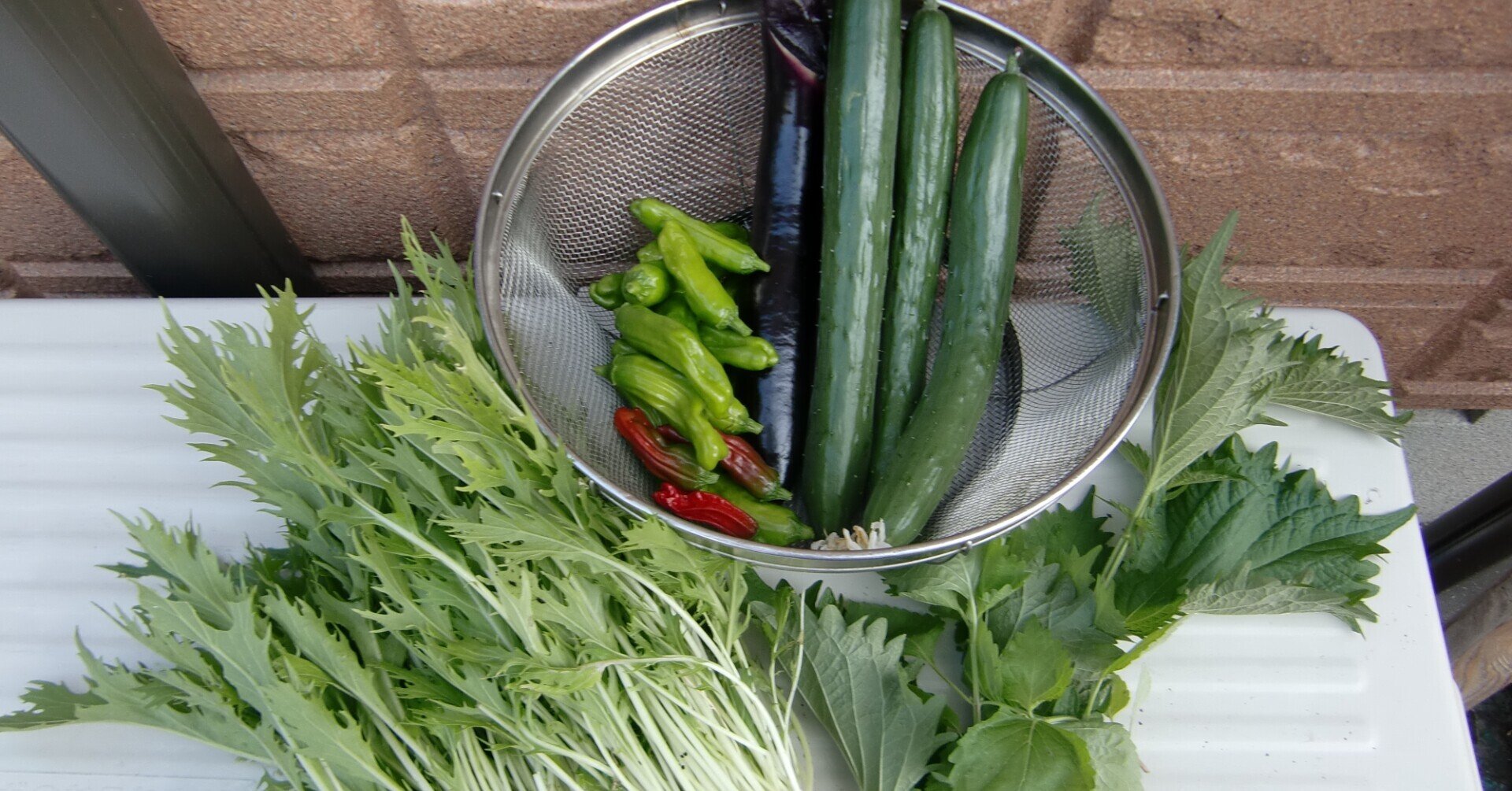 7月最後の家庭菜園 はっぴーそら Happysora Note 7月最後の家庭菜園 はっぴーそら Happysora Note