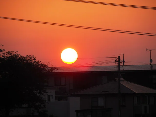 画像7