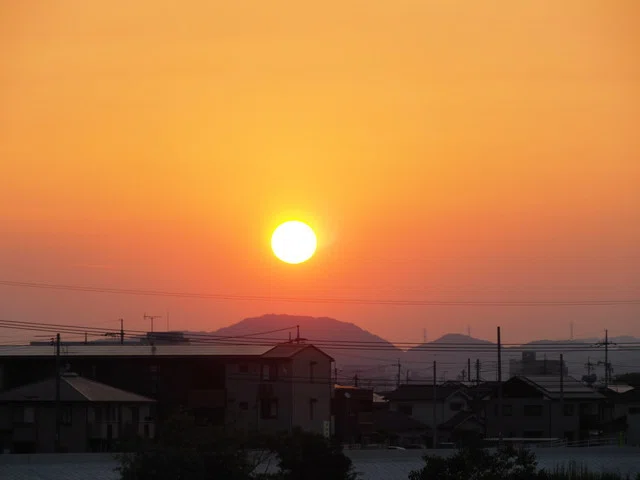 画像8