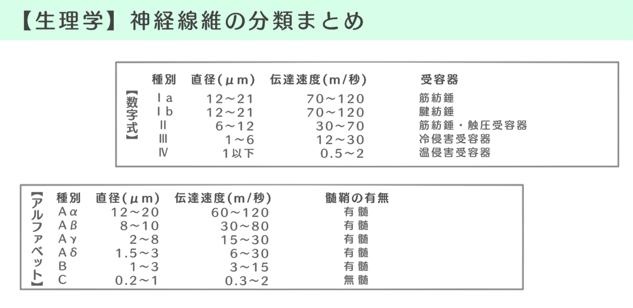 生理学 図解イラストとゴロ合わせで簡単 神経と神経線維の分類 徹底解説 森元塾 国家試験対策 Note