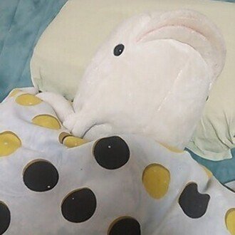 やんまあ