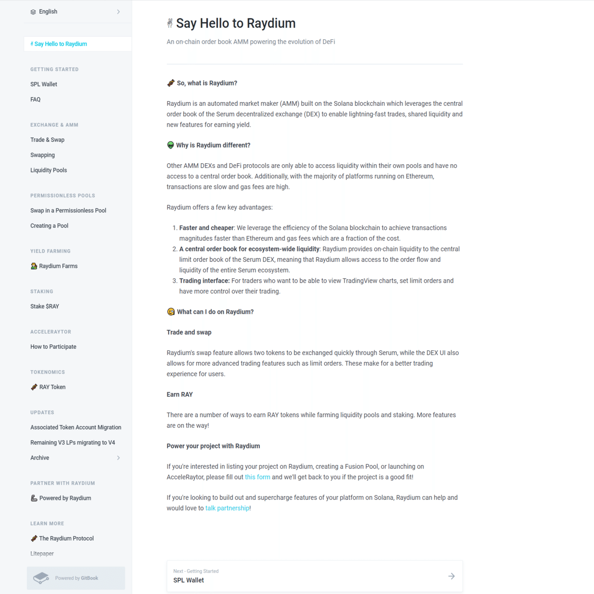 Raydium公式サイトの和訳｜zacky