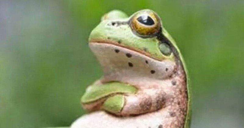 ブログ書くのは苦手なんよ の新着タグ記事一覧 Note つくる つながる とどける