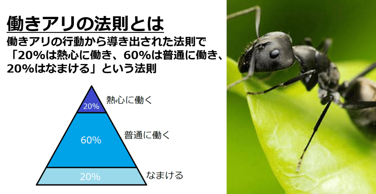 働きアリのポジション ラーニングアニマル Note 働きアリのポジション ラーニングアニマル Note