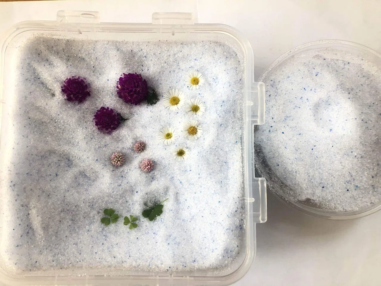 ドライフラワーを作ろう 馬味 Note ドライフラワーを作ろう 馬味 Note