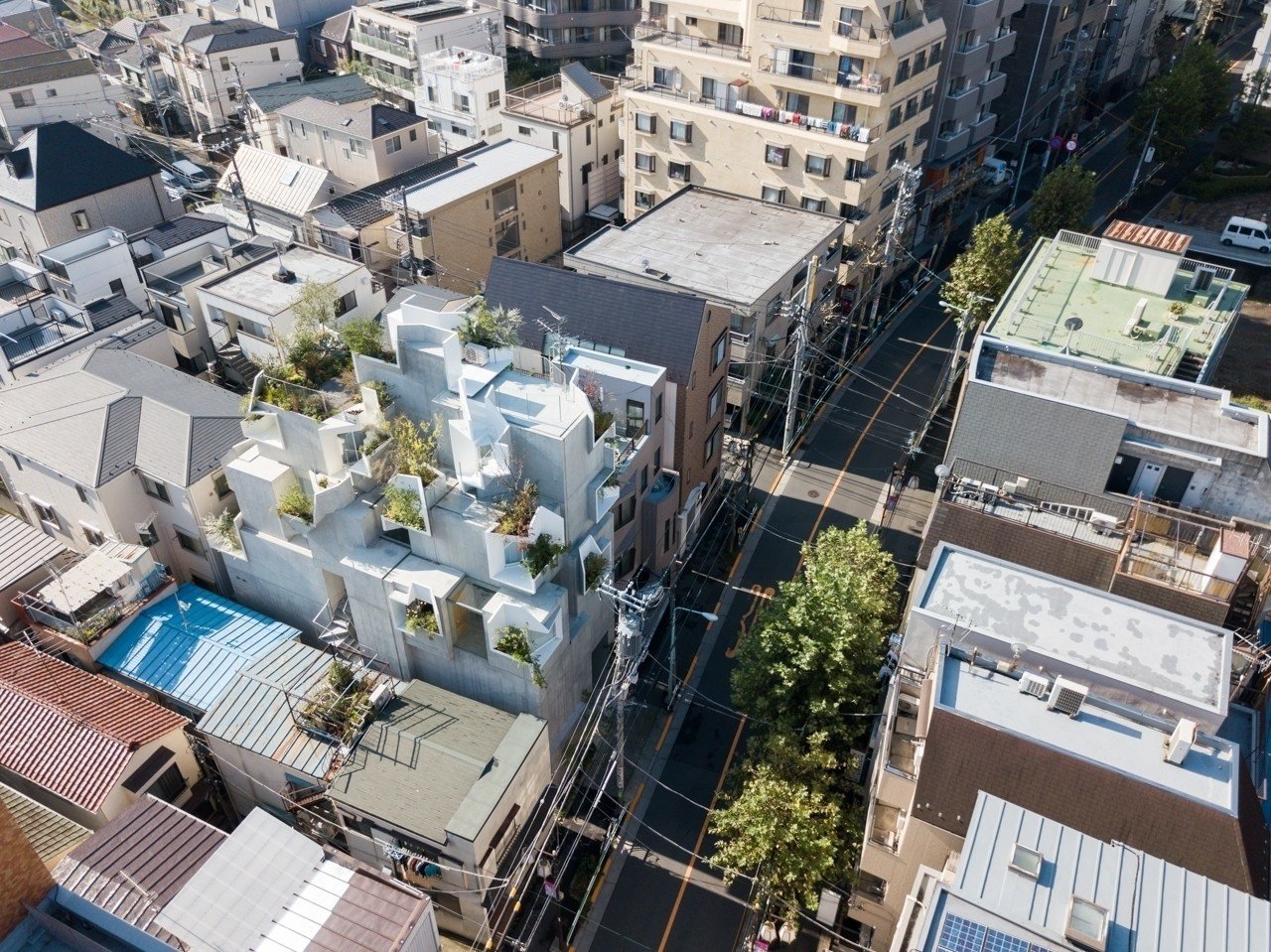 建築にとって「他者」とは誰のことでしょうか？─『新建築』2017年12月