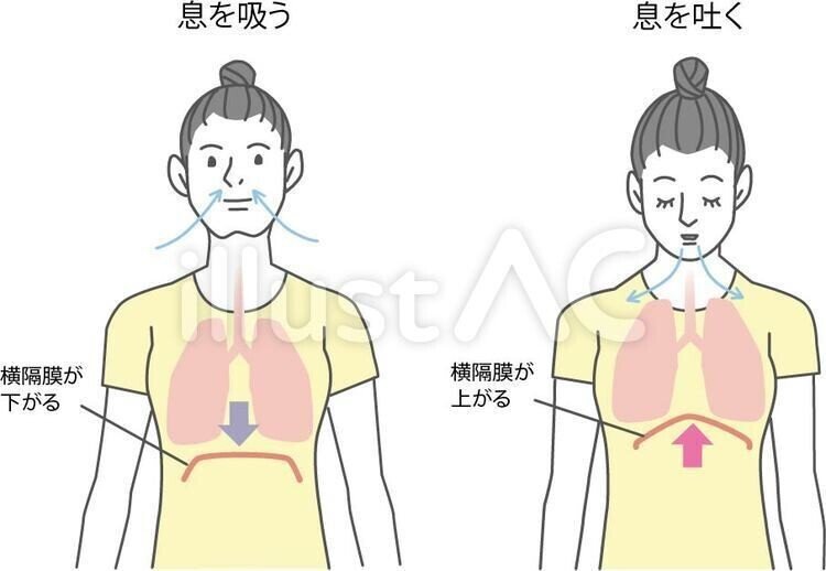 イラストフリー素材 Dl数 トップ10発表 無料 イラスト無料提供中 一部有料 Note