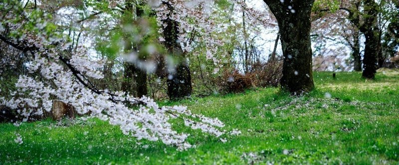 感想は情緒の花が散ってから