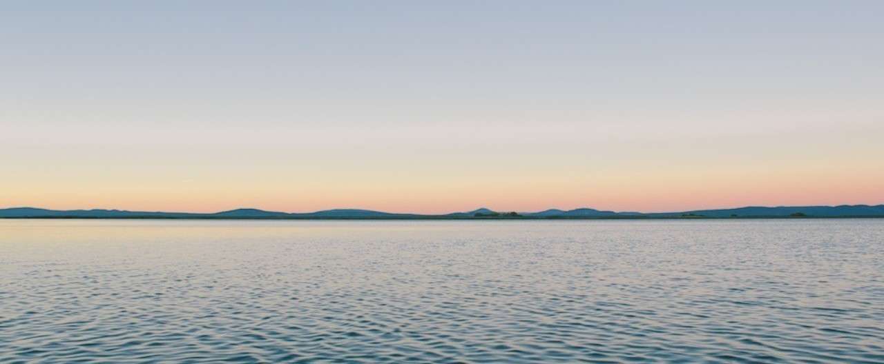 海