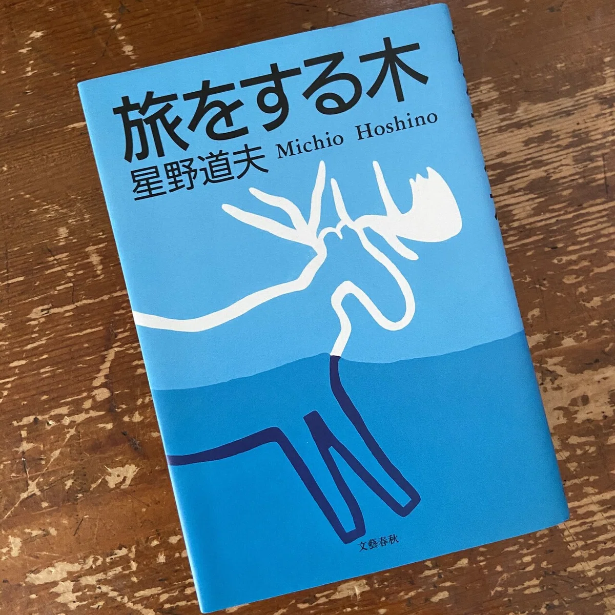 テンション上がる！ 元気が出る！ 旅の本」を、手紙社の部員が選んだら