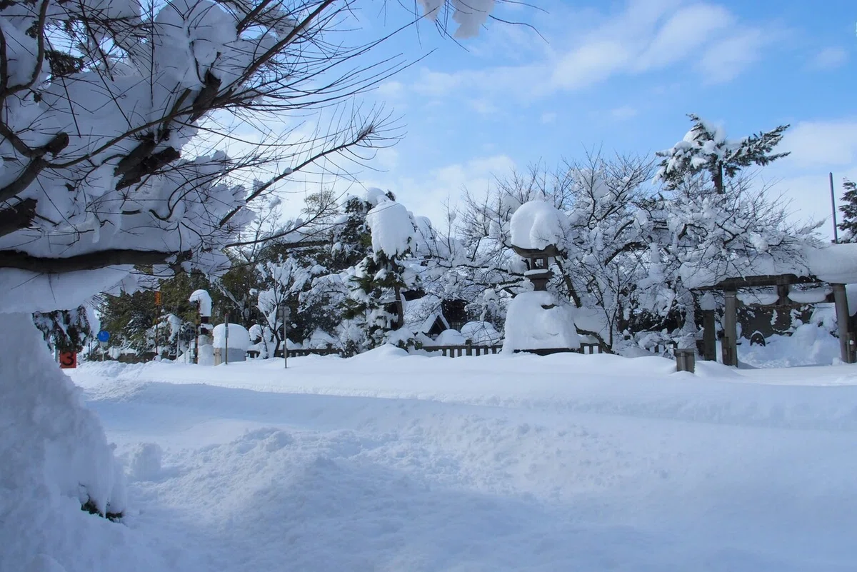 画像27