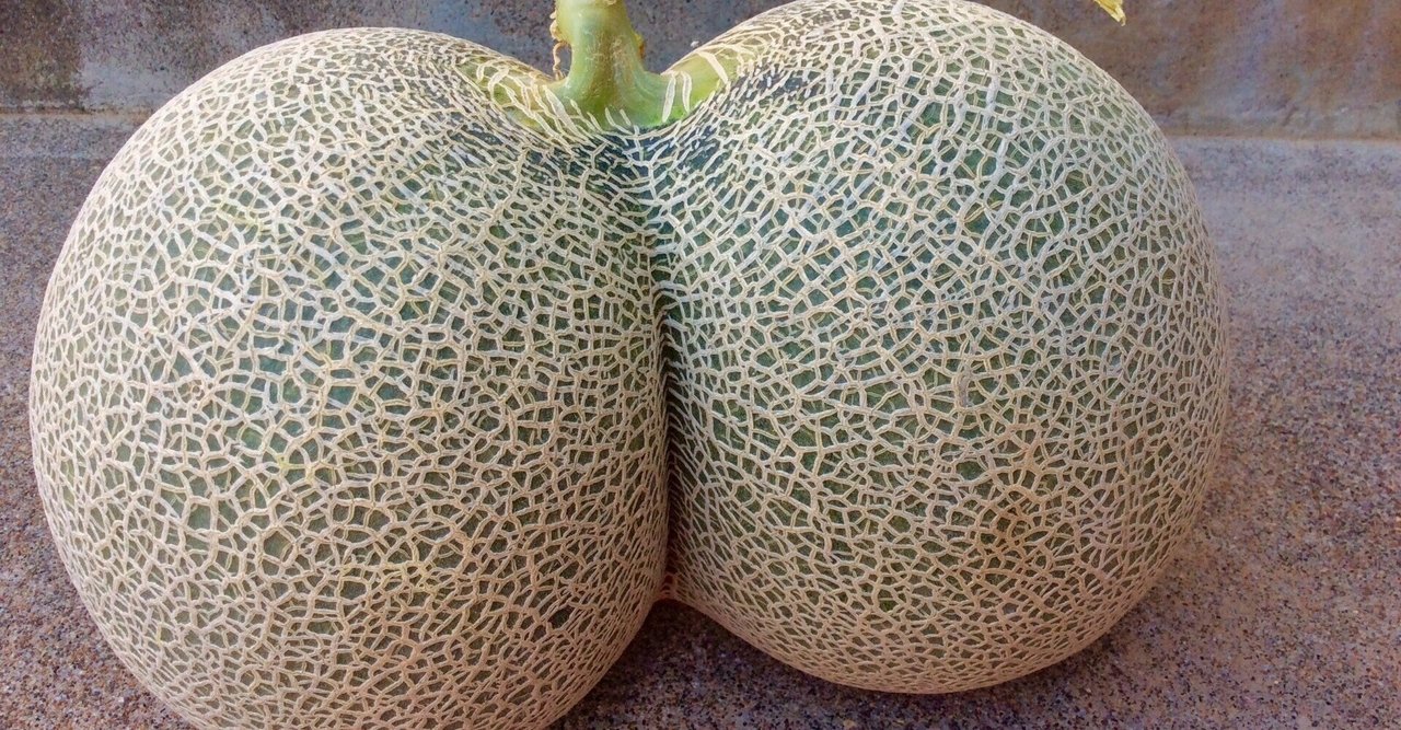 独り占めって幸せ？｜葉月 陽