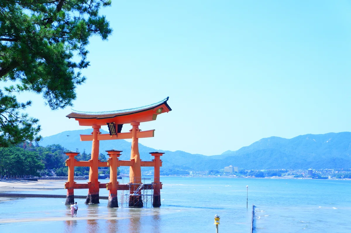 画像